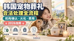 韩国宠物葬礼步骤完整指南｜合法处理方式、机构确认、火化流程与费用（2026）